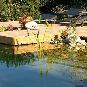 CandideContractor.com - Candide caring for mother nature.